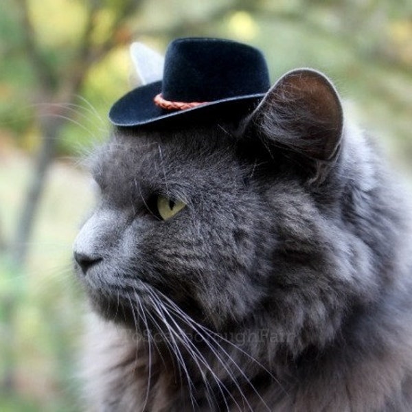 Black Cowboy Cat Hat with Genuine Leather Cord - Mini Cowboy Hat - Fathers' Day Cowboy Hat - Buckaroo Style- Guinea Pig - Ferret - Hamster