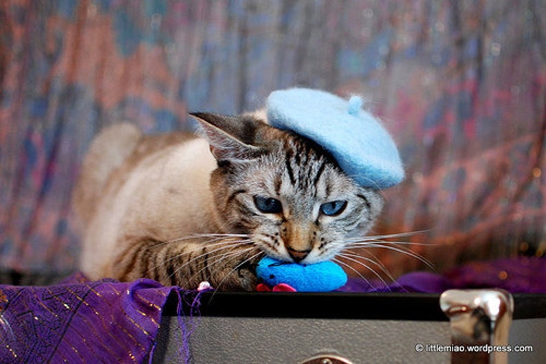 Cat Beret Bridesmaids Movie Original Beret Pet Wool Beret Cats and Dogs-Hand Felted Beret for Pets-Birthday Gift Holiday Gift image 2