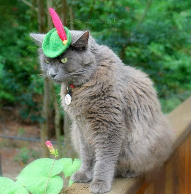 Original Design Cat Robin Hood Hat Peter Pan Hat Hand Felted Wool Hat Cat Halloween Costume Pet Halloween Costume Cat Photo Prop image 3