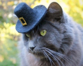 Hat for Cats Thanksgiving - Pilgrim Cat Hat - Wool Felted Pet Hat - Cat Pilgrim Costume - Pet Costume - Cat Photo Prop