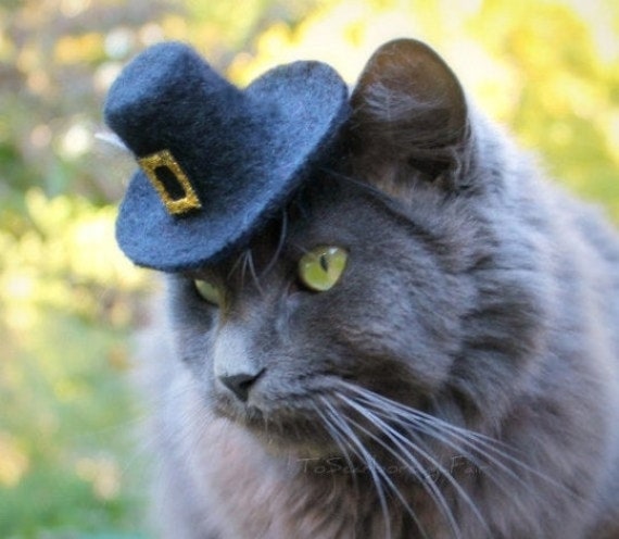 Hat For Cats Thanksgiving Pilgrim Cat Hat Wool Felted Pet Etsy