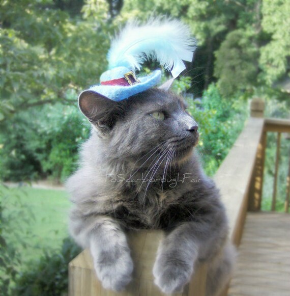 Puss In Boots Pet Hat Light Blue Hat Wool Hand Felted Cat Etsy