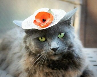 Original Design - Sky Blue Mini Hat -Cat Hat - Easter Bonnet - Spring Cat Hat - Elsa Hat for Pet - Winter Kingdom - Cat Costume - Photo prop