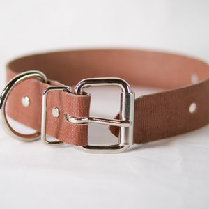 Bernard Pet Collar image 3