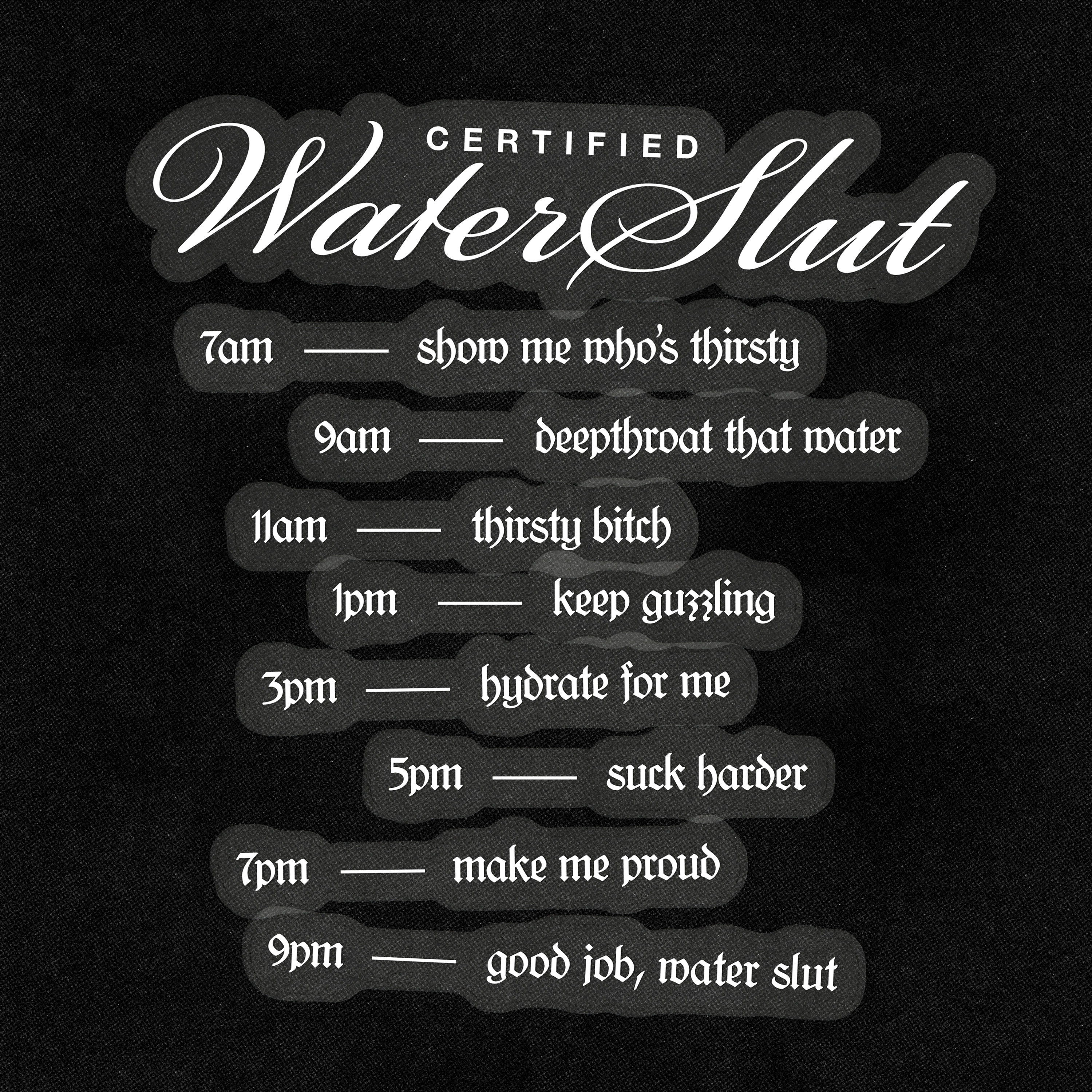 Praise Kink Water Bottle Sticker Set Sexy Gift NSFW BDSM Motivational  Stickers Habit Tracking & Funny Gift for Valentines Day - Etsy
