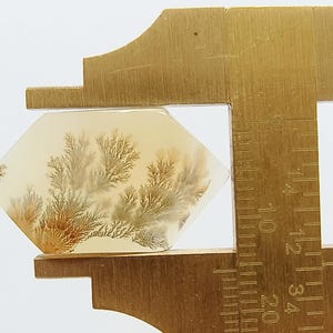 K&ouml;nnte beinhalten: Ein sechseckiger, durchscheinender Edelstein mit dendritischen Einschl&uuml;ssen. Der Stein wird von einem Messschieber aus Messing gehalten, der etwa 3,8 cm misst. Die Einschl&uuml;sse sind braun und beige auf cremefarbenem Hintergrund.