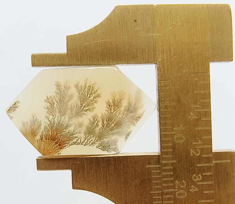 K&ouml;nnte beinhalten: Ein sechseckiger, durchscheinender Edelstein mit dendritischen Einschl&uuml;ssen. Der Stein wird von einem Messschieber aus Messing gehalten, der etwa 3,8 cm misst. Die Einschl&uuml;sse sind braun und beige auf cremefarbenem Hintergrund.