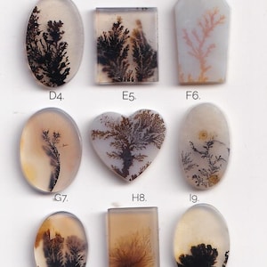 Könnte beinhalten: Neun polierte Dendriten-Achat-Cabochons in einem Raster angeordnet, beschriftet von A1 bis I9. Jeder durchscheinende Stein zeigt einzigartige, dunkle, baumartige Manganoxid-Einschlüsse. Die Formen umfassen Ovale, Rechtecke, eine Sargform und ein Herz.