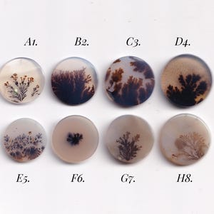 May include: Eight round, polished gemstones with unique dendritic inclusions. The stones vary in color from clear to beige, with patterns resembling trees or ferns. Each stone is labeled with a letter and number combination, such as A1 and B2.