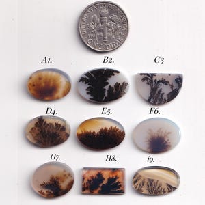 May include: Nine dendritic agate cabochons arranged in a grid, each featuring unique black fern-like inclusions within translucent stone. A United States dime is positioned at the top for scale, providing a clear size reference for the stones.