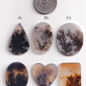 May include: Six polished dendritic agate cabochons in various shapes including teardrop, oval, heart, and rectangle, featuring dark fern-like inclusions. A United States dime is included for scale, measuring approximately 0.705 inches in diameter.