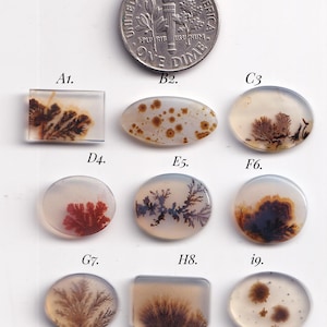 Könnte beinhalten: Eine Sammlung von neun polierten Dendriten-Achat-Cabochons in verschiedenen ovalen und rechteckigen Formen mit farnartigen braunen, schwarzen und roten Einschlüssen. Eine US-amerikanische Zehn-Cent-Münze dient als Größenvergleich.