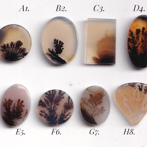 May include: Eight polished dendritic agate cabochons arranged in two rows, labeled A1 through H8. Each translucent stone features unique, dark brown to black fern-like inclusions against a pale, creamy, or light tan background in various shapes.