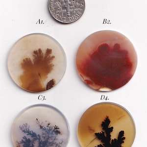 Könnte beinhalten: Vier kreisförmige, polierte Cabochons mit dendritischen Einschlüssen, beschriftet mit A1, B2, C3 und D4. A1 zeigt braune farnartige Muster, B2 dunkelrote Wirbel, C3 schwarze verzweigte Einschlüsse und D4 eine dunkle, baumartige Form. Eine US-Dime-Münze dient als Größenvergleich.