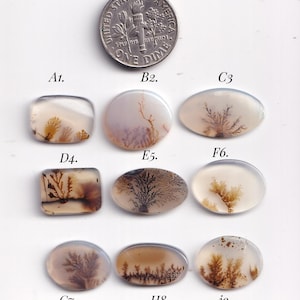 May include: A collection of nine polished dendritic agate cabochons with brown fern-like inclusions, arranged in three rows and labeled A1 through i9, positioned below a United States one dime coin for scale reference.