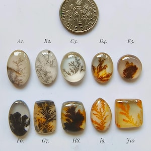 May include: Ten polished dendritic agate cabochons in various shapes and sizes, each featuring unique brown, black, or orange fern-like inclusions. A US dime coin is included for scale, measuring approximately 0.705 inches in diameter.