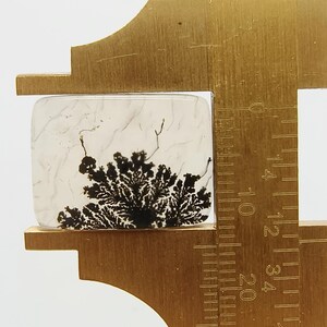 K&ouml;nnte beinhalten: Ein klarer, rechteckiger Edelstein mit einem schwarzen dendritischen Einschluss, der einem Baum &auml;hnelt. Der Stein wird mit einem Messschieber aus Messing gemessen. Das Lineal zeigt Messungen in Zentimetern an.