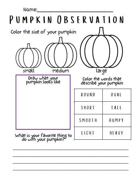 Pumpkin Observation Worksheet - Etsy