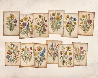 May include: A set of 12 vintage-style cards featuring watercolor illustrations of pressed wildflowers in various shades of yellow, blue, pink, and purple.