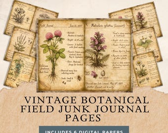 Vintage Botanical Field Journal Pages | 19th Century Naturalist Illustrations (Digital Download)