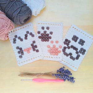 Mini Cat Tapestry Crochet Patterns: Beginner-Friendly Wall Hanging (PDF Digital Download)