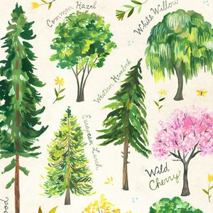 Trees | Nature Chart | Educational Wall Art | Outdoorsy | Katie Daisy | 8x10 | 11x14