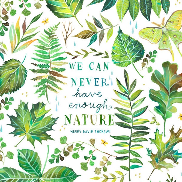 Nature | Thoreau Quote | Outdoorsy Art | Katie Daisy | 8x10 | 11x14