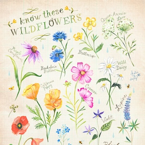 Know These Wildflowers print | Katie Daisy Art | Watercolor Floral | Wall art | 8x10 | 11x14