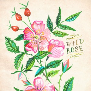 Wild Rose print | Katie Daisy Art | Watercolor Floral | Wall art | 8x10 | 11x14