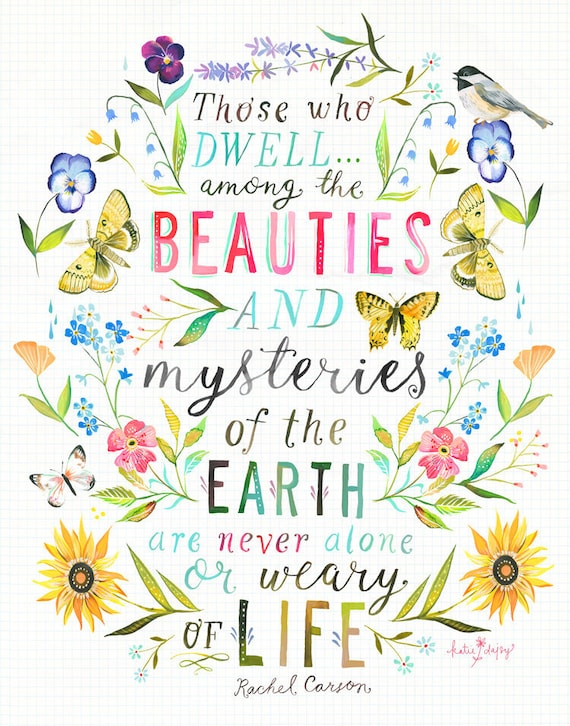 Beauties & Mysteries | Wildflower Art Print | Floral Wall Art | Katie Daisy | 8x10 | 11x14