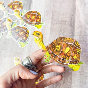 Box Turtle clear sticker image 3