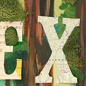 Explorez lestampe dart de The Redwoods Nature Wall Art Typographie mixte des médias image 3