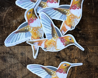 Rufous Hummingbird Matte Sticker