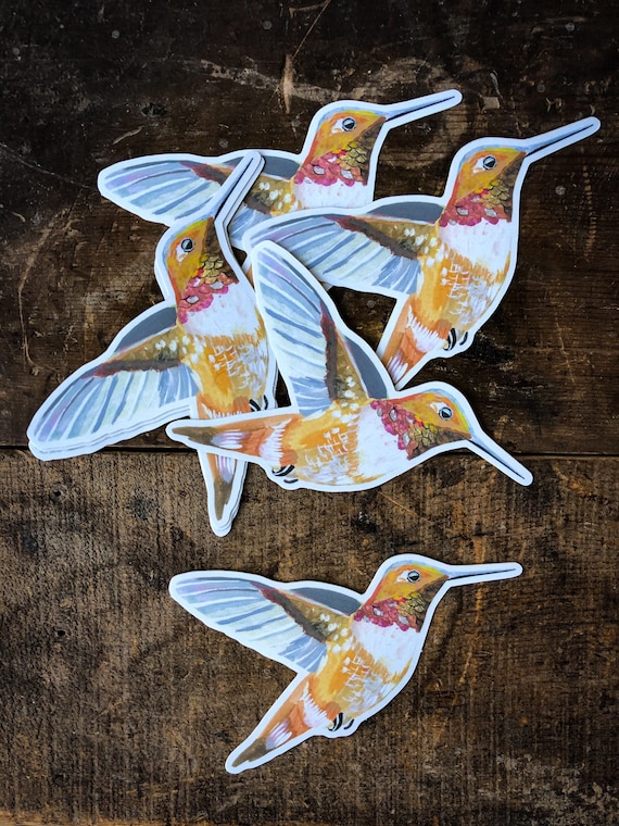Rufous Hummingbird Matte Sticker