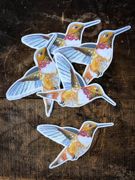 Rufous Hummingbird Matte Sticker