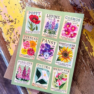 Seed Packets Greeting Card