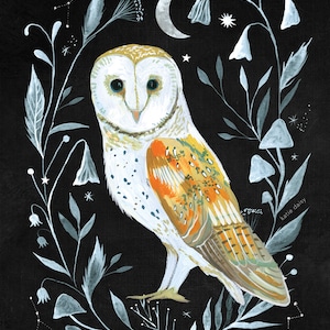 Barn Owl art print | Owl Wall Art |  Nature Print | Katie Daisy Art | 8x10 | 11x14