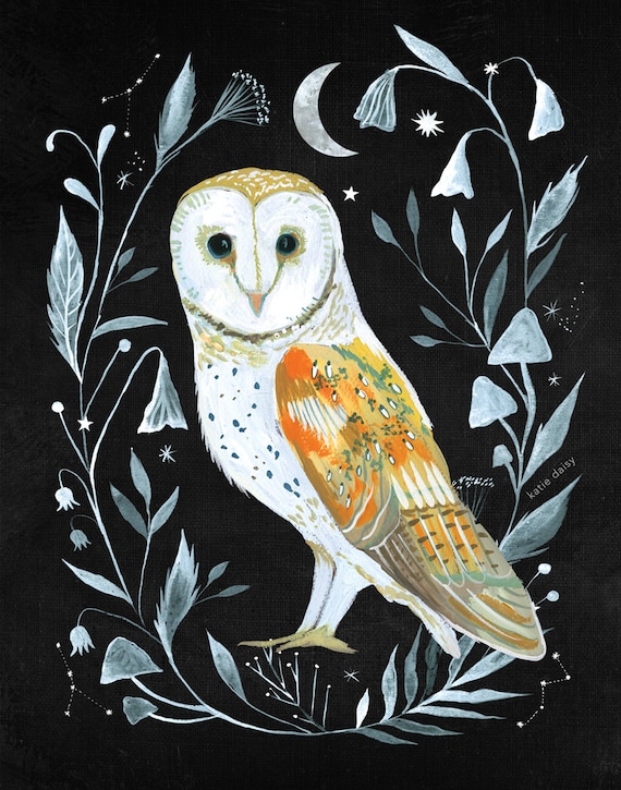 Barn Owl art print | Owl Wall Art |  Nature Print | Katie Daisy Art | 8x10 | 11x14
