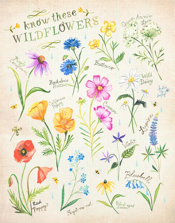 Know These Wildflowers print | Katie Daisy Art | Watercolor Floral | Wall art | 8x10 | 11x14