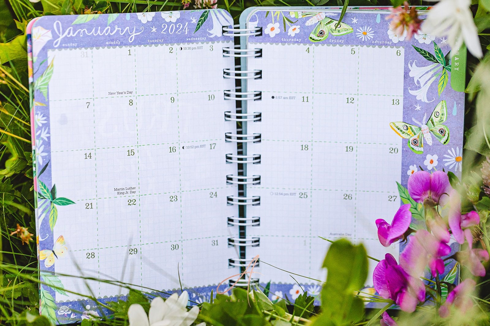 Katie Daisy Calendar 2023 - Apple Calendar Tips - View #3