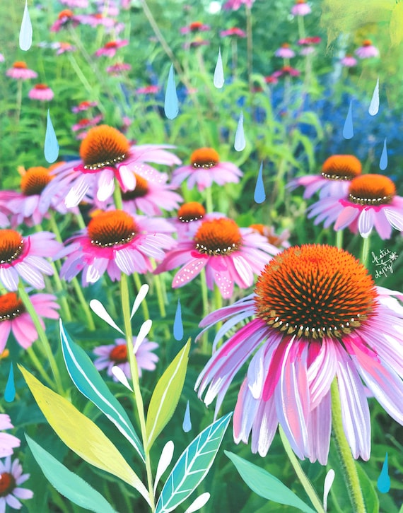 Purple Coneflowers Art Print | Mixed Media Painting | Floral Photograph | Katie Daisy | 8x10 | 11x14