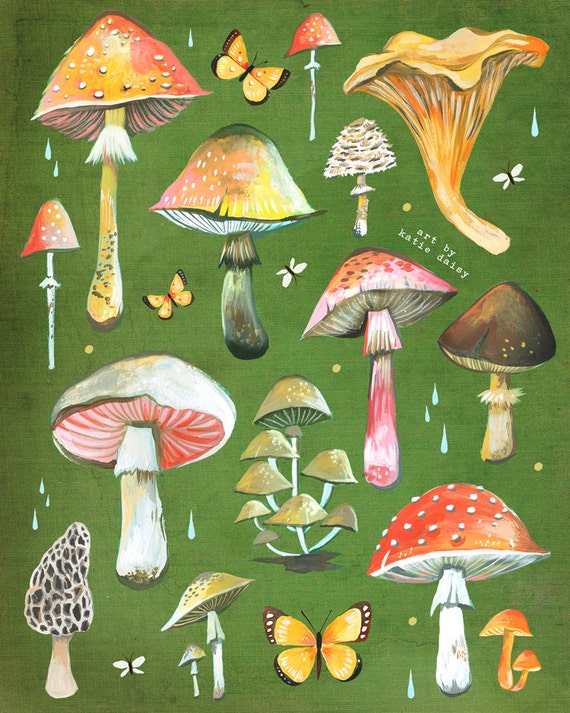 Mushroom Chart Print | Fungi Identification | Watercolor Wall Art | Fungi Identification | Field Guide | Katie Daisy |  8x10 11x14