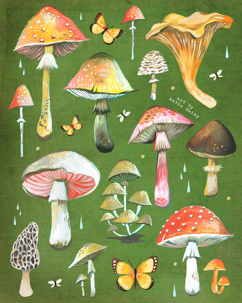 Mushroom Chart Print Fungi Identification Watercolor Wall Art Fungi Identification Field Guide Katie Daisy 8x10 11x14 image 1