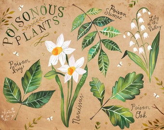 Poisonous Plants | Nature Chart | Educational Wall Art | Outdoorsy | Katie Daisy | 8x10 | 11x14