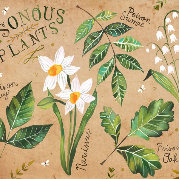 Poisonous Plants | Nature Chart | Educational Wall Art | Outdoorsy | Katie Daisy | 8x10 | 11x14