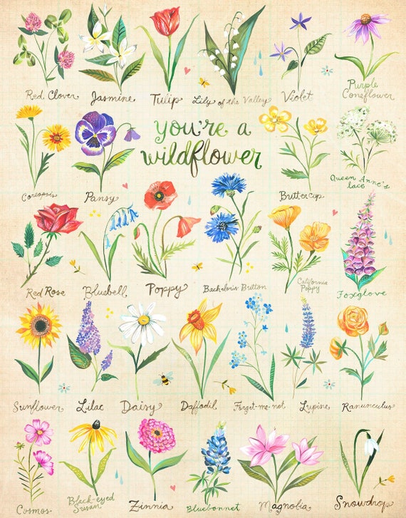 You're a Wildflower | Art Print | Floral Wall Art | Katie Daisy | 8x10 | 11x14