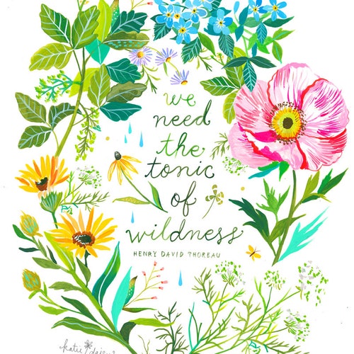 Tonique de Wildness Art Print | Lettrage à la main aquarelle | Affiche botanique | Jardinage | Katie Daisy - France | 8x10 - France | 11x14