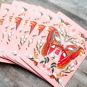 Atlas Moth Boxed Notecard Set  | Blank Cards | Stationery | Katie Daisy