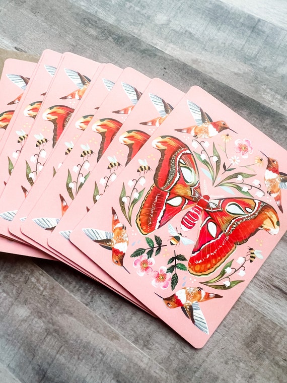 Atlas Moth Boxed Notecard Set  | Blank Cards | Stationery | Katie Daisy