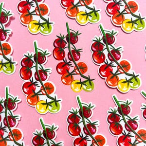 Sticker mat transparent vigne de tomate
